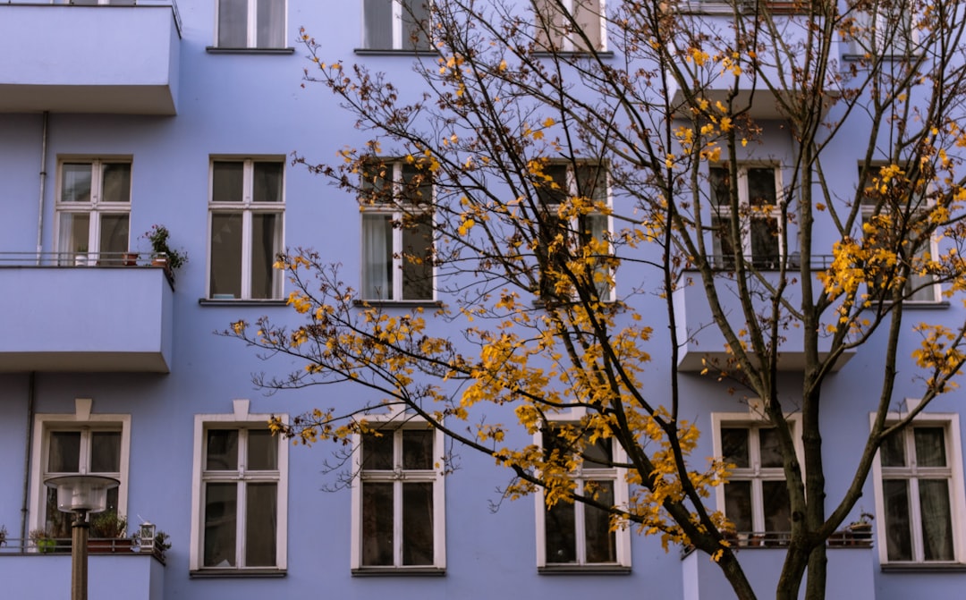 Psychotherapie Berlin – Willkommen in der Praxis Pelzer Friedrichshain